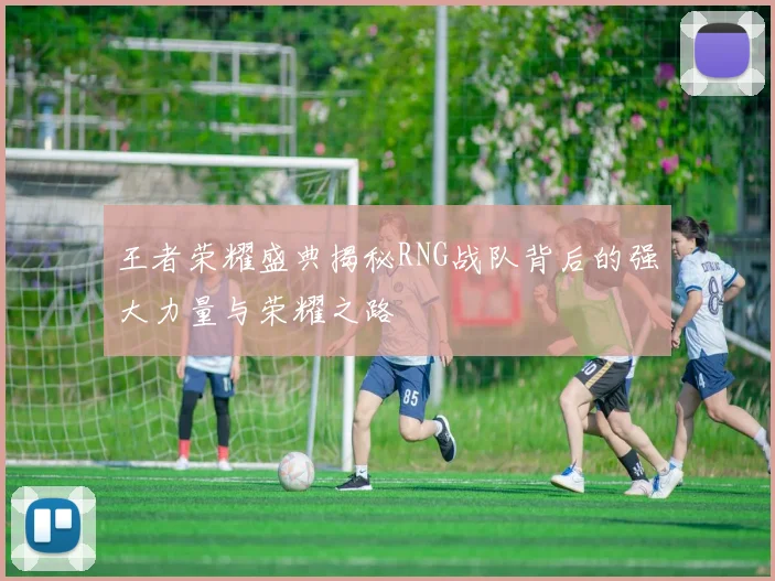 王者荣耀盛典揭秘RNG战队背后的强大力量与荣耀之路